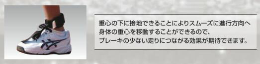 ニシスポーツフットトレーナーブルーNT7761C10%OFFNISHI陸上競技スピードトレーニングアジリティスプリントピッチストライド走り
