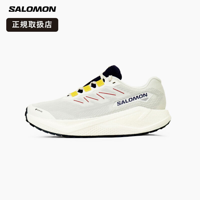 Rakuten - 《抽選で最大100%ポイントバック★要エントリー》サロモン SALOMON メンズ スニーカー AERO BLAZE 3 GRVL GTX エアロブレイズ ゴアテックス 防水 トレイル ランニングシューズ ジョギング ウォーキング 軽量 2026SS L47953200 正規取扱店