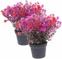 2個 造花 インテリア 花瓶付き 光触媒 玄関 フェイクグリーン 人工観葉植物 飾り ウエディング 贈り物 お見舞い プレゼント ミニ インテリアグリーン