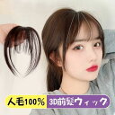 【楽天スーパーSALE】3D前髪ウィッグ シルク工芸 人毛100% 3D構造つむじ付き部分ウィッグ ポイントウィッグエクステンション つけ毛 自然 白髪隠し か...