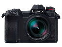 パナソニック LUMIX DC-G9L 標準ズームライカDGレンズキット JAN4549980016718