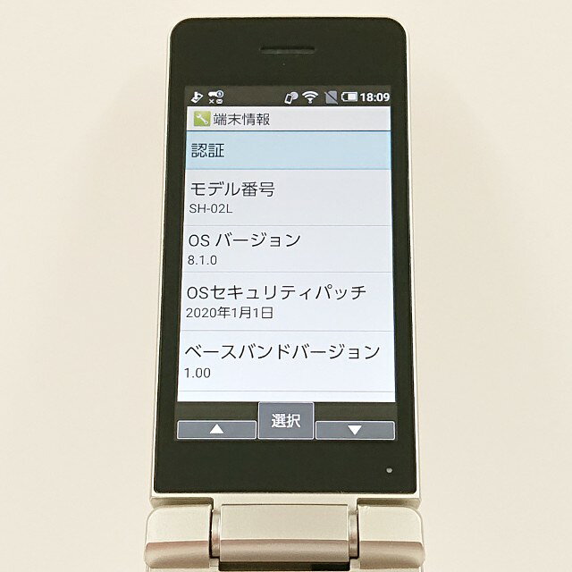 アークマーケットモバイルのAQUOS ケータイ SH-02L ドコモ ゴールド 送料無料 本体 c19611 【中古】｜アングル2