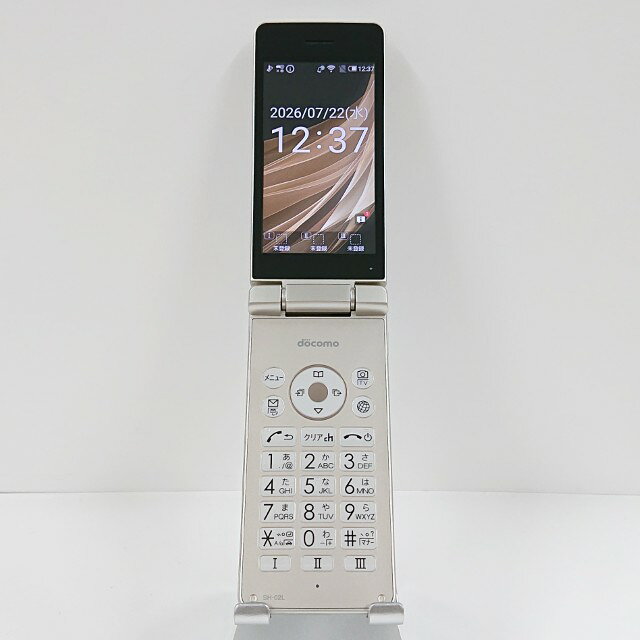 c21452_1.jpg