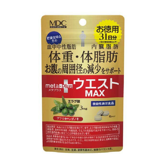 お徳用品番：CI40 健康食品 サプリメント ダイエット 体脂肪 L-カルニチン 血中中性脂肪 内臓脂肪 体重