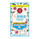【 生酪酸菌3000 60カプセル 】品番:H343 健康食品 サプリメント カプセルタイプ 酪酸菌 ビフィズス菌 腸活 腸内フローラ