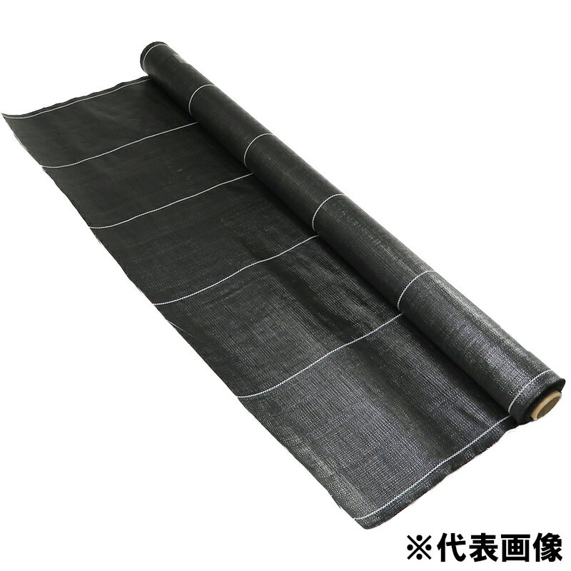 �Ѹ�ǯ����5ǯ�����𥷡��� �֥�å� 1��10m ���������