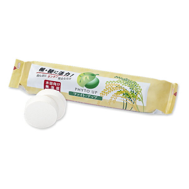 樂天商城 - ファイトクローム ファイト・アップ 投げ込みタイプ 500g