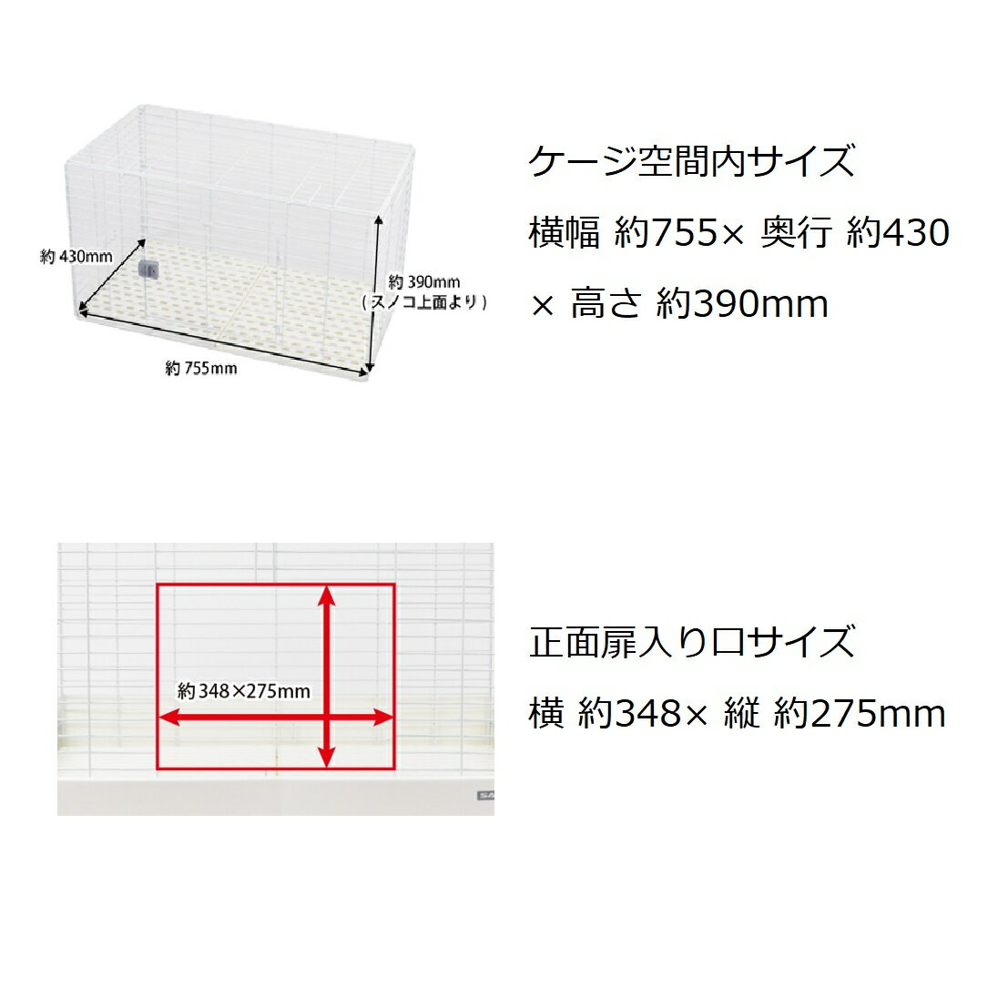 �������� ���������ۡ��२�� 80 BK �֥�å� 2ʬ����饹�Υ����� C61 ��ưʪ������