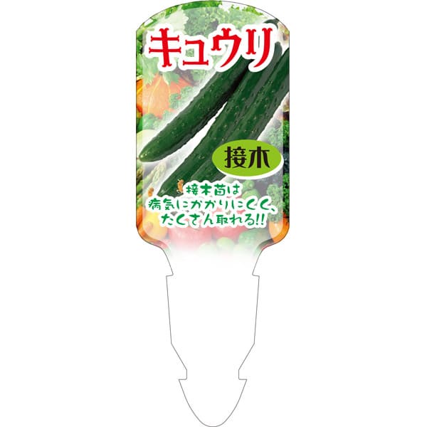 ����ѥ�٥� �� ���奦�� ���� �ĥ���եå� (100��)��139.5mm��50mm �ե���٥� ������� �����ǥ˥����� �ѿ��� �ѵ��� �� �� �ʼ�̾ɽ����٥� ��ݥ�٥� ��ʪ��٥� ��٥� �ץ졼�� ��� �ʼ� ��ʪ