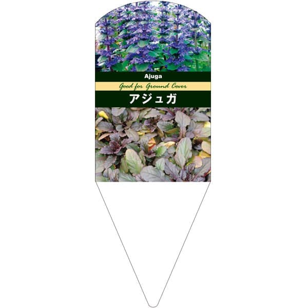 園芸用ラベル【 アジュガ レプタンス L (100枚)】132.5mm×50mm フラワーラベル 園芸用品 ガーデニング..