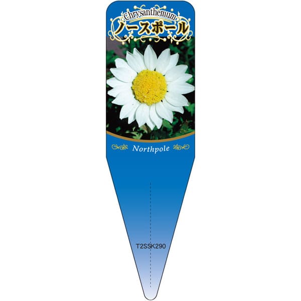 園芸用ラベル【 クリサンセマム ノースポール S(100枚)】115mm×34mm フラワーラベル 園芸用品 ガーデニング用品 耐水性 耐久性 花 木 品種名表示ラベル 園芸ラベル 植物ラベル ラベル プレート 園芸 品種 植物 苗木 苗 栽培