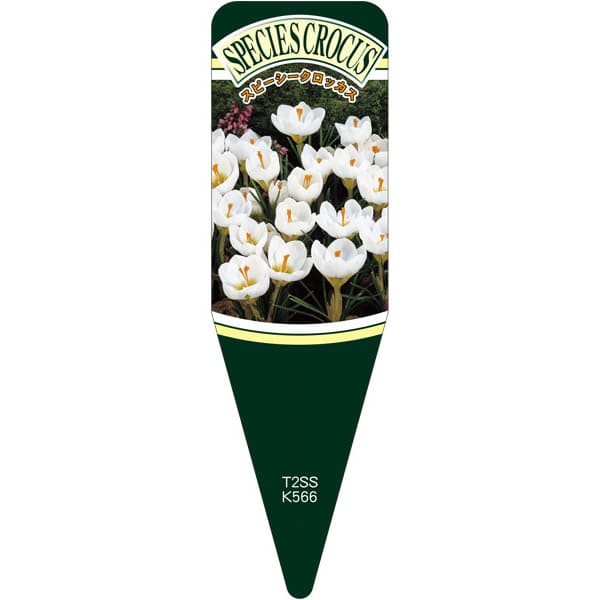 園芸用ラベル【 スピーシークロッカス スノーバンS(100枚)】 115mm×34mm フラワーラベル 園芸用品 ガー..