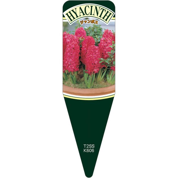 園芸用ラベル【ヒヤシンスジャンボス S(100枚)】115mm×34mm フラワーラベル 園芸用品 ガーデニング用品..
