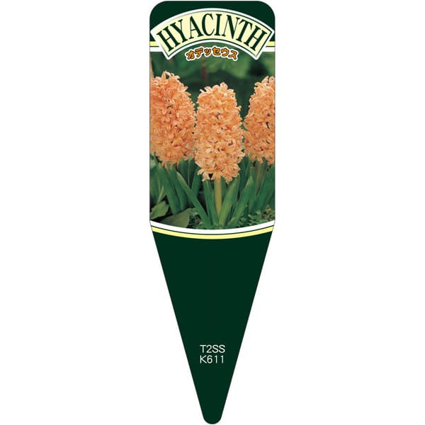 園芸用ラベル【 ヒヤシンスオデッセウス S (100枚)】)115mm×34mm フラワーラベル 園芸用品 ガーデニン..