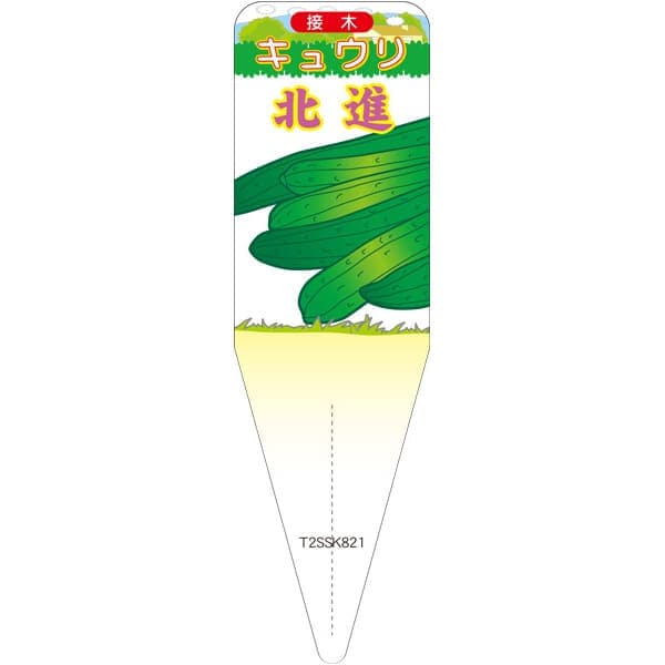 園芸用ラベル【 キュウリ 北進 S (100枚)】115mm×34mm フラワーラベル 園芸用品 ガーデニング用品 耐水..