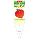 園芸用ラベル【 トマト ルネッサンス イラスト (100枚)】115mm×34mm フラワーラベル フラワーラベル 園芸用品 ガーデニング用品 耐水性 耐久性 花 木 品種名表示ラベル 園芸ラベル 植物ラベル ラベル プレート 園芸 品種 植物 フルーツトマト とまと ミニトマト