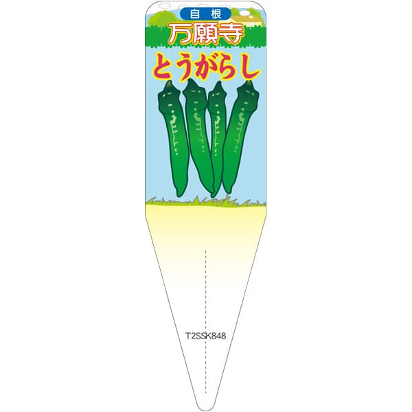 園芸用ラベル【 マンガンジトウガラシ(100枚)】115mm×34mm フラワーラベル 園芸用品 ガーデニング用品 ..