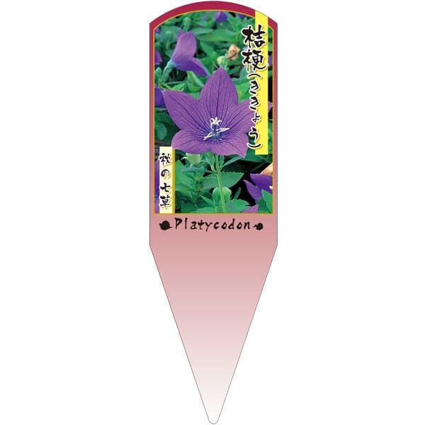 園芸用ラベル【 キキョウ 青 一重 矮性 X (100枚)】132.5mm×40mm フラワーラベル 園芸用品 ガーデニン..