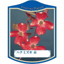 園芸用ラベル【 ハナミズキ 赤 K(100枚)】105mm×80mm フラワーラベル 園芸用品 ガーデニング用品 耐水性 耐久性 花 木 品種名表示ラベル 園芸...