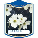 園芸用ラベル【 ハナミズキ 白 K(100枚)】105mm×80mm フラワーラベル 園芸用品 ガーデニング用品 耐水性 耐久性 花 木 品種名表示ラベル 園芸...