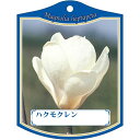 園芸用ラベル【 ハクモクレン K (100枚)】105mm×80mm フラワーラベル 園芸用品 ガーデニング用品 耐水性 耐久性 花 木 品種名表示ラベル 園芸...