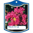 園芸用ラベル【 サルスベリ 赤 K (100枚)】105mm×80mm フラワーラベル 園芸用品 ガーデニング用品 耐水性 耐久性 花 木 品種名表示ラベル 園...