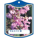 園芸用ラベル【 サルスベリ 紫 K(100枚)】105mm×80mm フラワーラベル 園芸用品 ガーデニング用品 耐水性 耐久性 花 木 品種名表示ラベル 園芸...