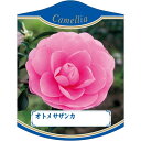 園芸用ラベル【 オトメサザンカ K(100枚)】 105mm×80mm フラワーラベル 園芸用品 ガーデニング用品 耐水性 耐久性 花 木 品種名表示ラベル 園...