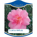 園芸用ラベル【 シンオトメ サザンカ K (100枚)】105mm×80mm フラワーラベル 園芸用品 ガーデニング用品 耐水性 耐久性 花 木 品種名表示ラベ...