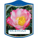 園芸用ラベル【 サザンカ アゲハチョウ K(100枚)】105mm×80mm フラワーラベル 園芸用品 ガーデニング用品 耐水性 耐久性 花 木 品種名表示ラベ...