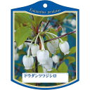 園芸用ラベル【 ドウダンツツジ 白 K (100枚)】105mm×80mm フラワーラベル 園芸用品 ガーデニング用品 耐水性 耐久性 花 木 品種名表示ラベル...
