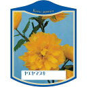 園芸用ラベル【 八重山吹 K(100枚)】105mm×80mm フラワーラベル 園芸用品 ガーデニング用品 耐水性 耐久性 花 木 品種名表示ラベル 園芸ラベル...
