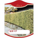 園芸用ラベル【 キンメツゲ(イケガキ) K(100枚)】105mm×80mm フラワーラベル 園芸用品 ガーデニング用品 耐水性 耐久性 花 木 品種名表示ラベ...