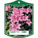 園芸用ラベル【 久留米ツツジ 宮城野 K(100枚)】105mm×80mm フラワーラベル 園芸用品 ガーデニング用品 耐水性 耐久性 花 木 品種名表示ラベル...