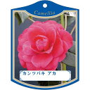 園芸用ラベル【 カンツバキ 赤 K(100枚)】105mm×80mm フラワーラベル 園芸用品 ガーデニング用品 耐水性 耐久性 花 木 品種名表示ラベル 園芸...