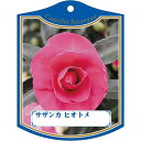 園芸用ラベル【 サザンカ 緋乙女 K(100枚)】105mm×80mm フラワーラベル 園芸用品 ガーデニング用品 耐水性 耐久性 花 木 品種名表示ラベル 園...