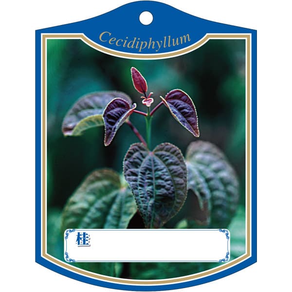 園芸用ラベル【 カツラ K(100枚)】105mm×80mm フラワーラベル 園芸用品 ガーデニング用品 耐水性 耐久..