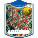 園芸用ラベル【 サンシュユ K(100枚)】105mm×80mm フラワーラベル 園芸用品 ガーデニング用品 耐水性 耐久性 花 木 品種名表示ラベル 園芸ラベ...