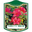 園芸用ラベル【 久留米ツツジ 飛龍の舞 K (100枚)】105mm×80mm フラワーラベル 園芸用品 ガーデニング用品 耐水性 耐久性 花 木 品種名表示ラ...