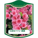 園芸用ラベル【 久留米ツツジ 麒麟 K(100枚)】105mm×80mm フラワーラベル 園芸用品 ガーデニング用品 耐水性 耐久性 花 木 品種名表示ラベル ...