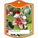 園芸用ラベル【 フェイジョア K (100枚)】105mm×80mm フラワーラベル 園芸用品 ガーデニング用品 耐水性 耐久性 花 木 品種名表示ラベル 園芸...