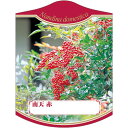 園芸用ラベル【 赤南天 K(100枚)】105mm×80mm フラワーラベル 園芸用品 ガーデニング用品 耐水性 耐久性 花 木 品種名表示ラベル 園芸ラベル ...
