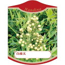 園芸用ラベル【 白南天 K(100枚)】105mm×80mm フラワーラベル 園芸用品 ガーデニング用品 耐水性 耐久性 花 木 品種名表示ラベル 園芸ラベル ...