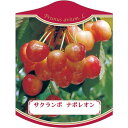 園芸用ラベル【 さくらんぼ ナポレオン (100枚)】105mm×80mm フラワーラベル 園芸用品 ガーデニング用品 耐水性 耐久性 花 木 品種名表示ラベル...