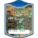 園芸用ラベル【 ユーカリ マルバ K (100枚)】105mm×80mm フラワーラベル 園芸用品 ガーデニング用品 耐水性 耐久性 花 木 品種名表示ラベル ...