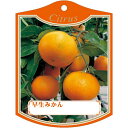 園芸用ラベル【 早生みかん K(100枚)105mm×80mm フラワーラベル 園芸用品 ガーデニング用品 耐水性 耐久性 花 木 品種名表示ラベル 園芸ラベル...