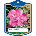 園芸用ラベル【 ムクゲ 赤花笠 K(100枚)】105mm×80mm フラワーラベル 園芸用品 ガーデニング用品 耐水性 耐久性 花 木 品種名表示ラベル 園芸...