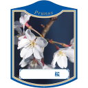 園芸用ラベル【 サクラ G K (100枚)】105mm×80mm フラワーラベル 園芸用品 ガーデニング用品 耐水性 耐久性 花 木 品種名表示ラベル 園芸ラ...