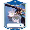園芸用ラベル【 サクラ P K (100枚)】105mm×80mm フラワーラベル 園芸用品 ガーデニング用品 耐水性 耐久性 花 木 品種名表示ラベル 園芸ラ...
