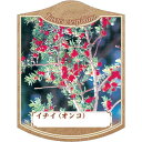 園芸用ラベル【 イチイ ( オンコ アララギ ) K (100枚)】105mm×80mm フラワーラベル 園芸用品 ガーデニング用品 耐水性 耐久性 花 木 品...